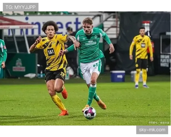 狼堡进攻火力全开，新赛季表现持续提升备受关注